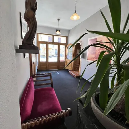 Maxi Hotel 3*